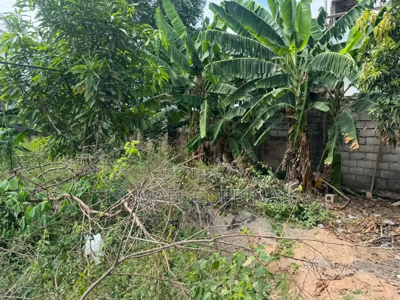 Genuine Land for Sale at Achimota in Mile 7