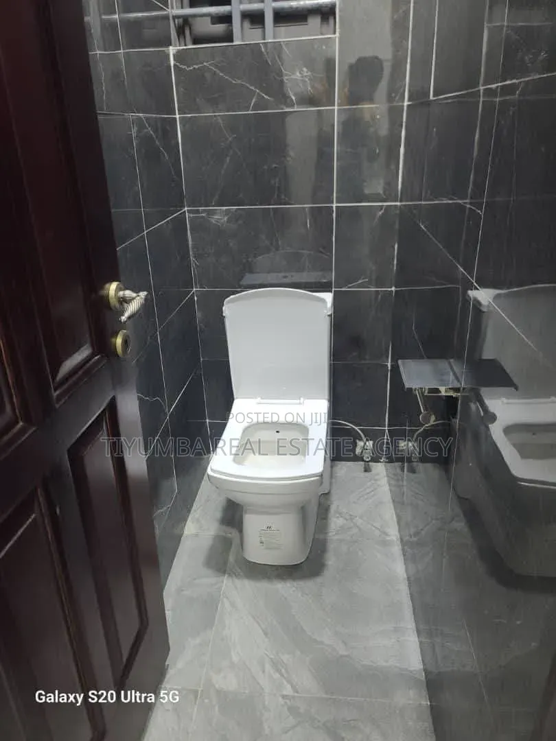 1bdrm Apartment in Tiyumba Real Estate, Pillar 2 for rent in Pillar 2