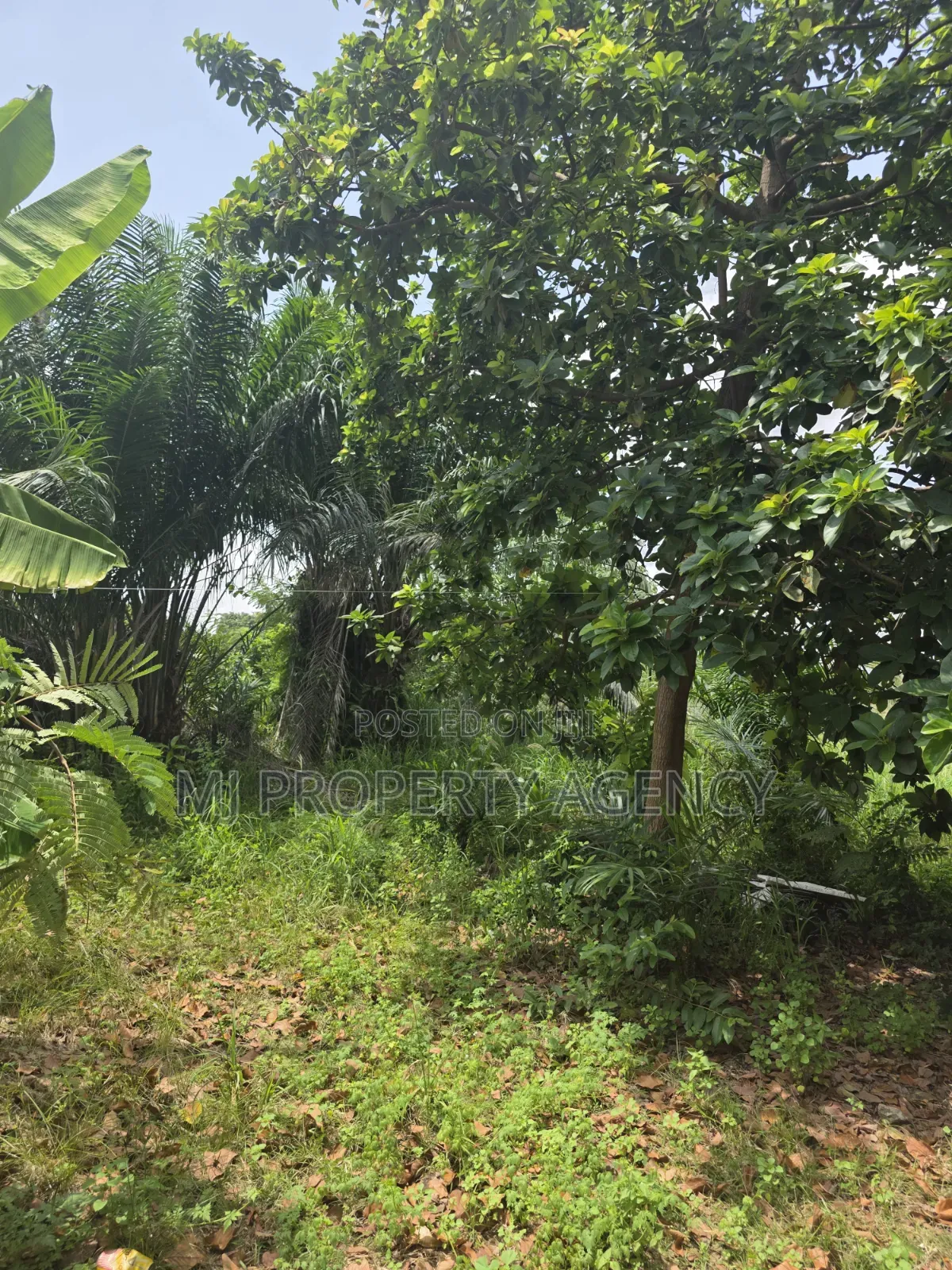 One Half Plot at Ahodwo Nyiayesu in Kumasi Metropolitan