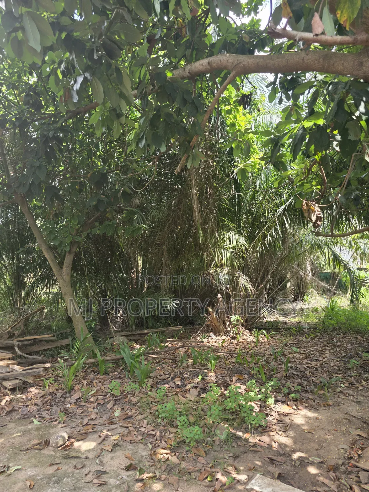 One Half Plot at Ahodwo Nyiayesu in Kumasi Metropolitan