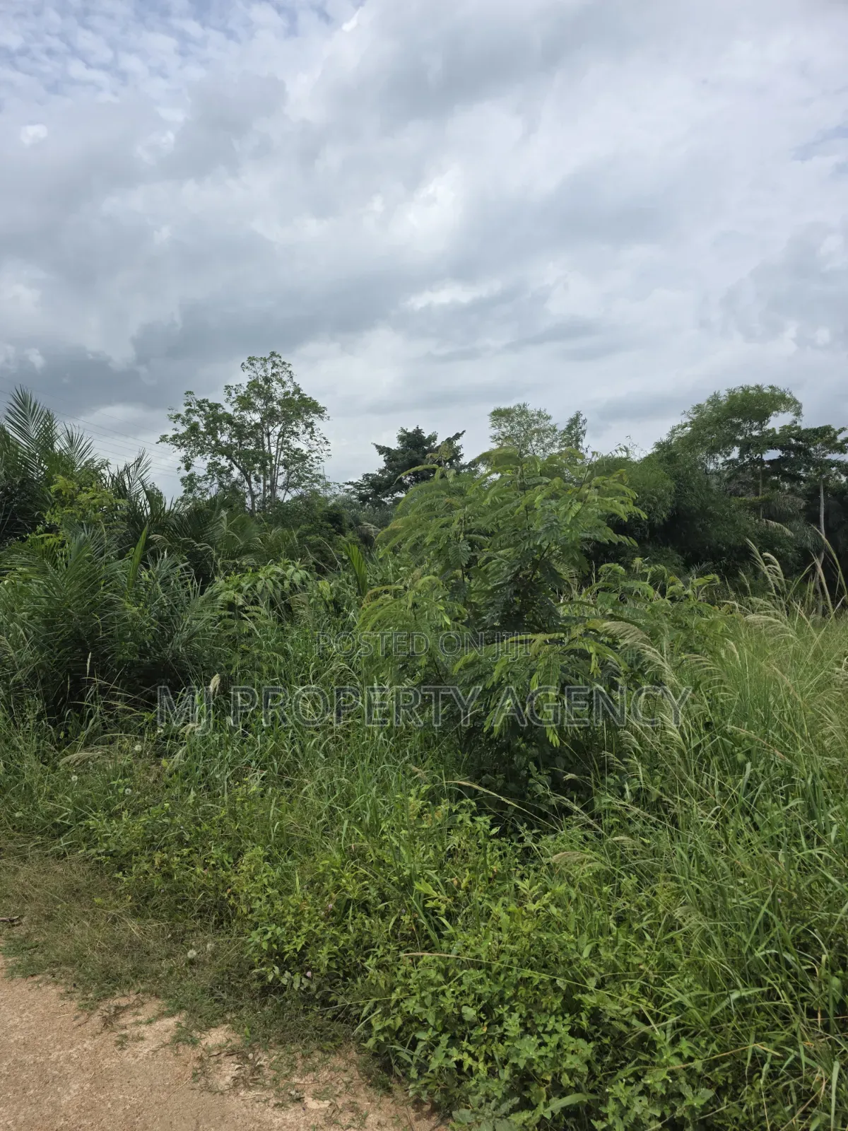 1 Acre Commercial Land at Barekese in Atwima Nwabiagya