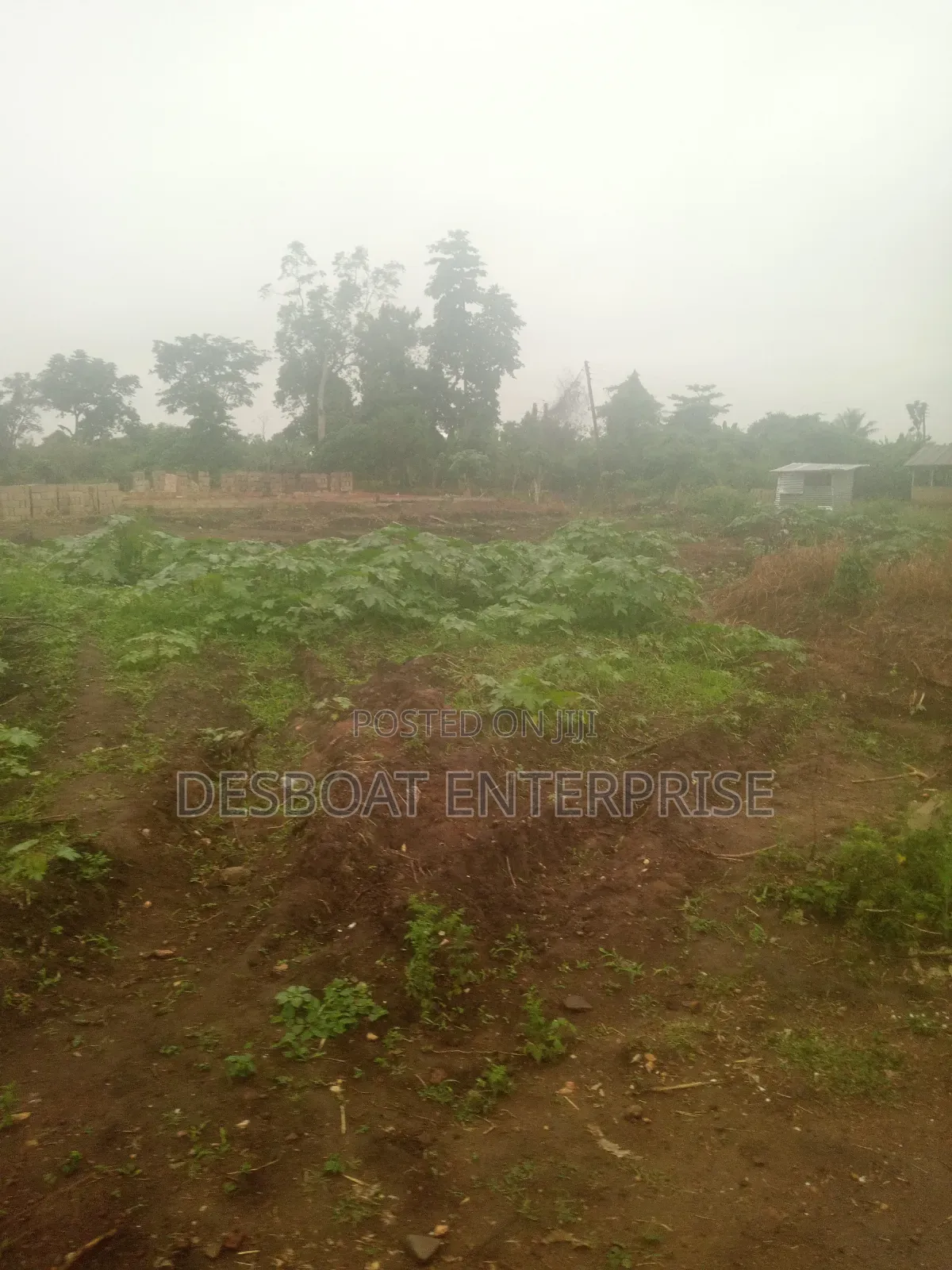 Full Plot of Land for Sale in Ejisu-Juaben Municipal
