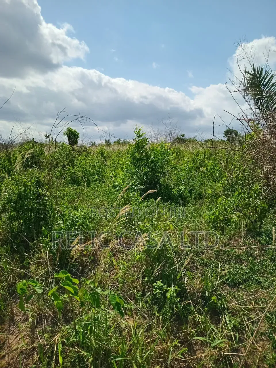 Titled Land In Amasaman – 10% in Accra Metropolitan