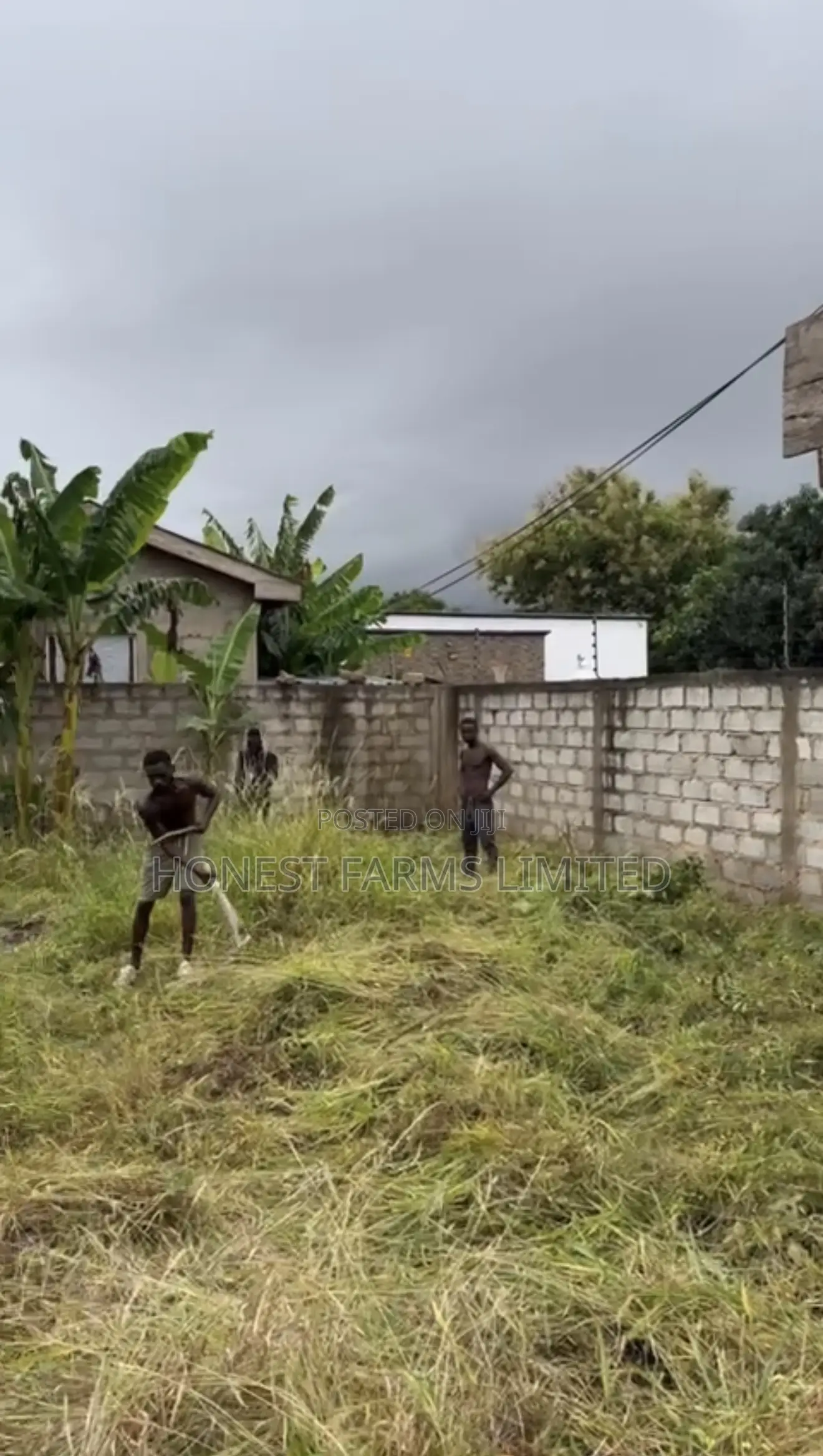 Fence Land Dodowa Bawalashie in Dodowa
