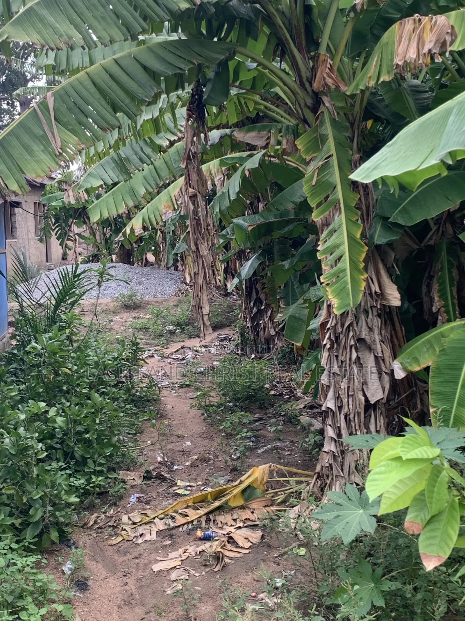 Half Plot for Sale in Manhean