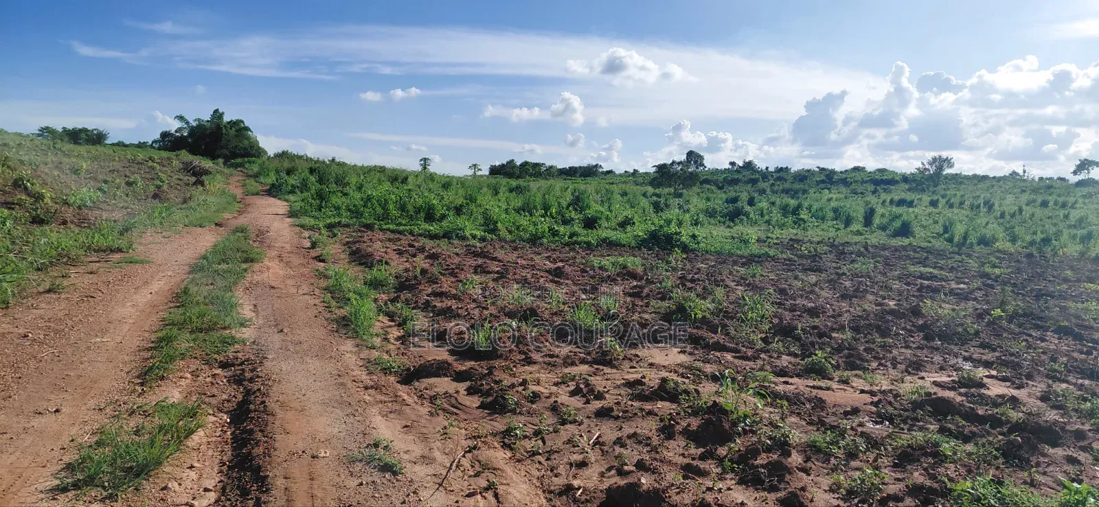 Farm Land Available at Gomoa Kwanyaku in Ga South Municipal