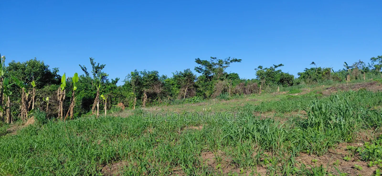 Farm Land Available at Gomoa Kwanyaku in Ga South Municipal