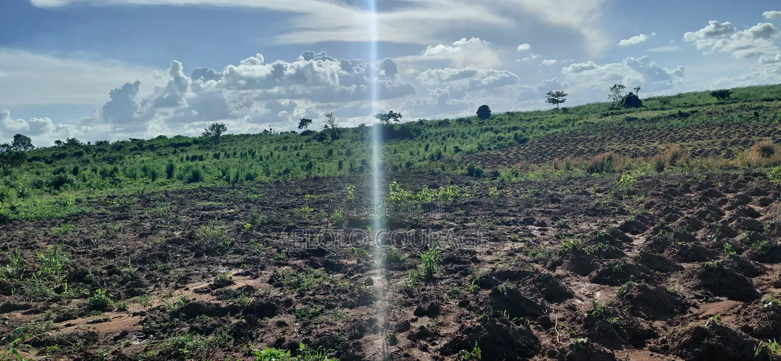 Farm Land Available at Gomoa Kwanyaku in Ga South Municipal