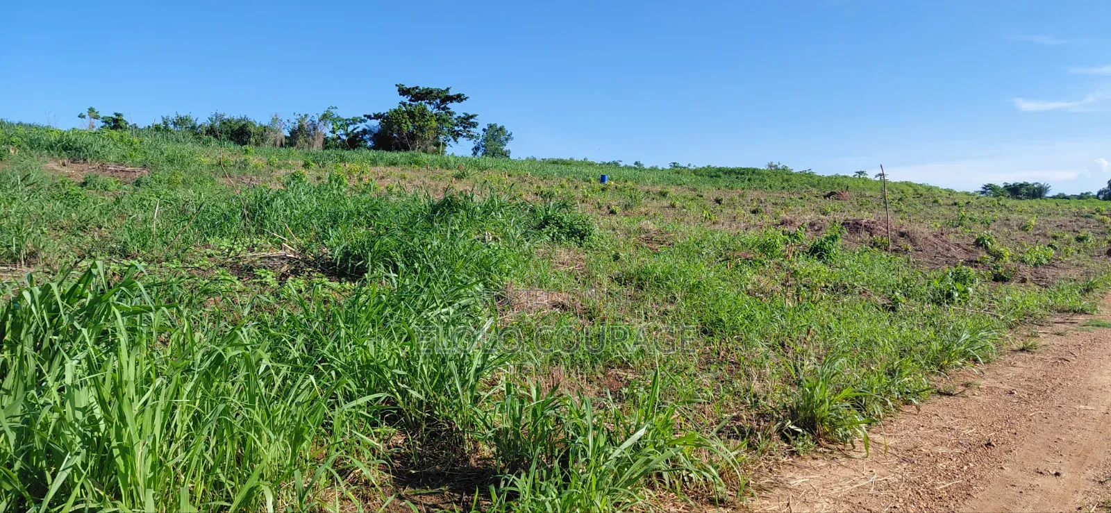 Farm Land Available at Gomoa Kwanyaku in Ga South Municipal