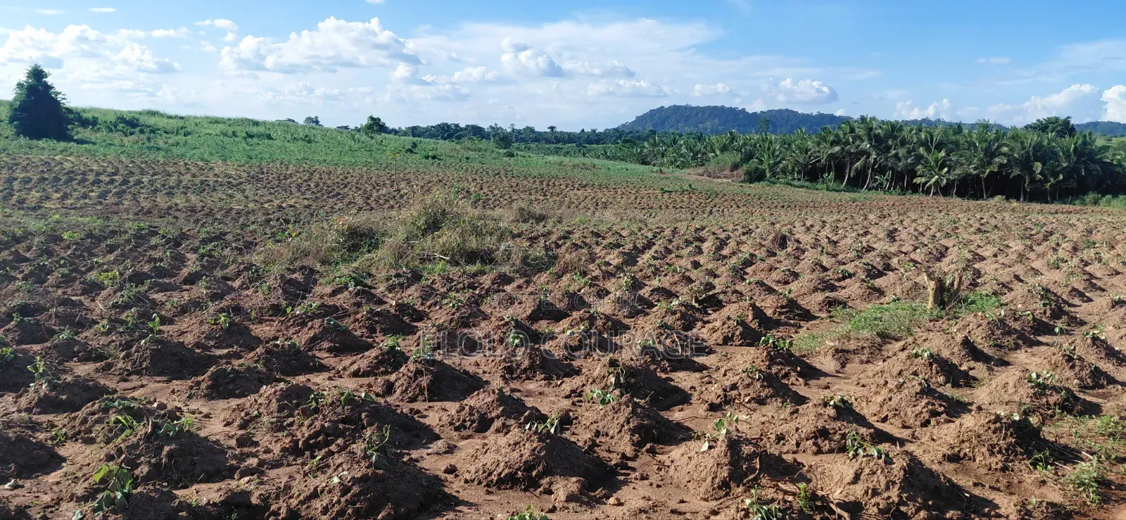 Farm Land Available at Gomoa Kwanyaku in Ga South Municipal