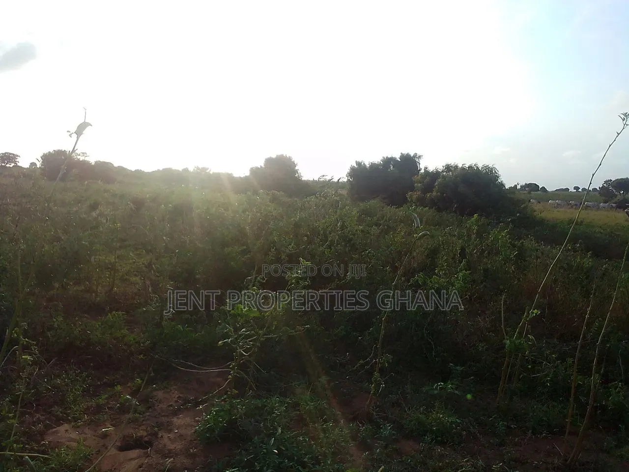 Titled 1 Acre of Land for Sale at West Legon in Police Station