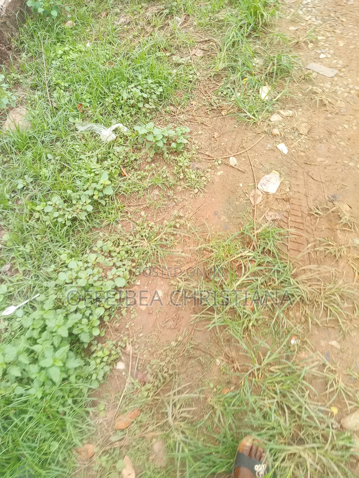 Land Of Acre in Ofankor