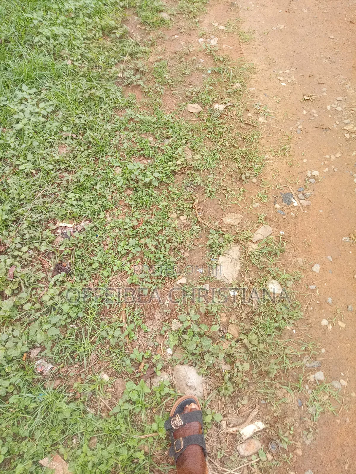 Land Of Acre in Ofankor
