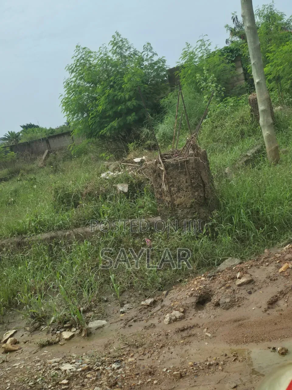 Already Fenced Full Plot for Sale at Comm19 Annex in Tema Metropolitan