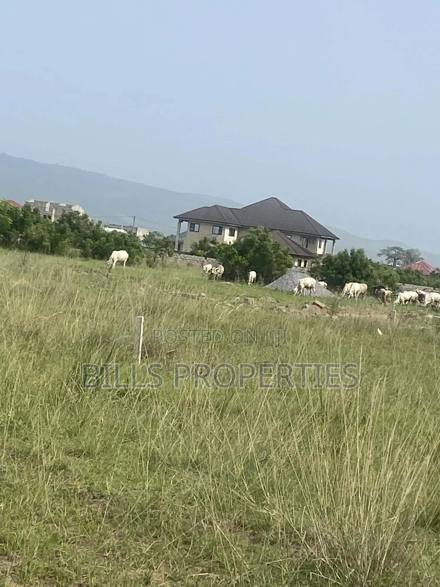 Titled Land Located at Ayikuma in Dodowa