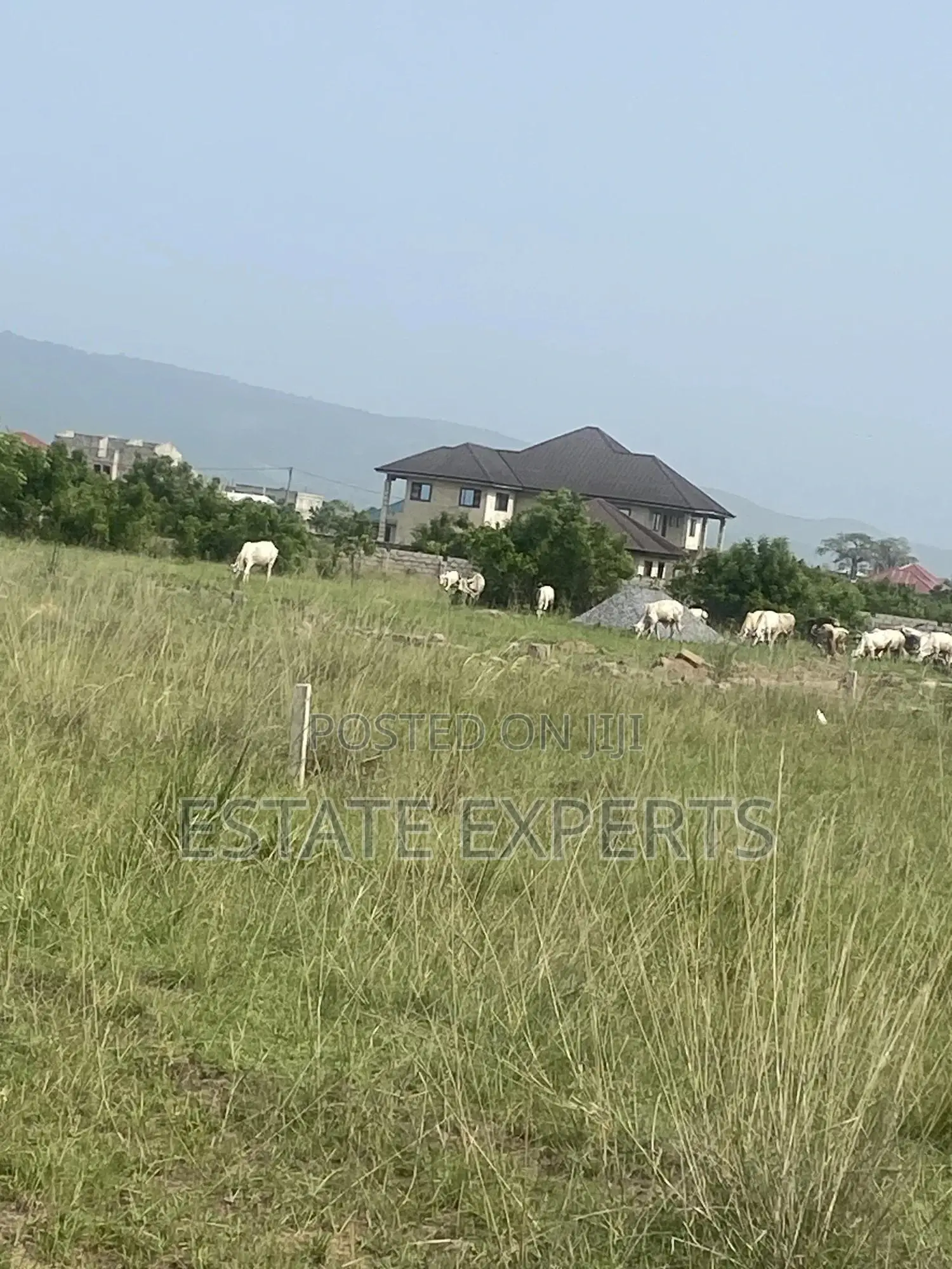 Titled Land Located at Ayikuma in Dodowa