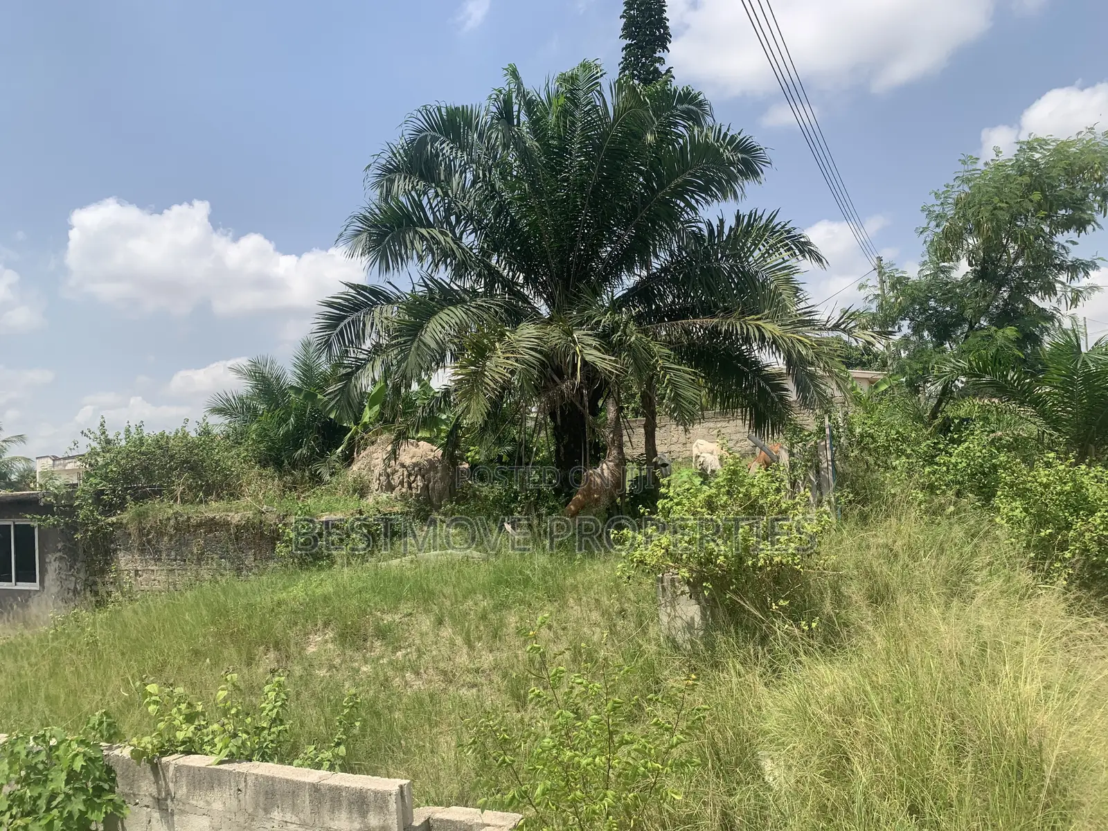 Landed Property for Sale at Sepe Dote in Kwabre