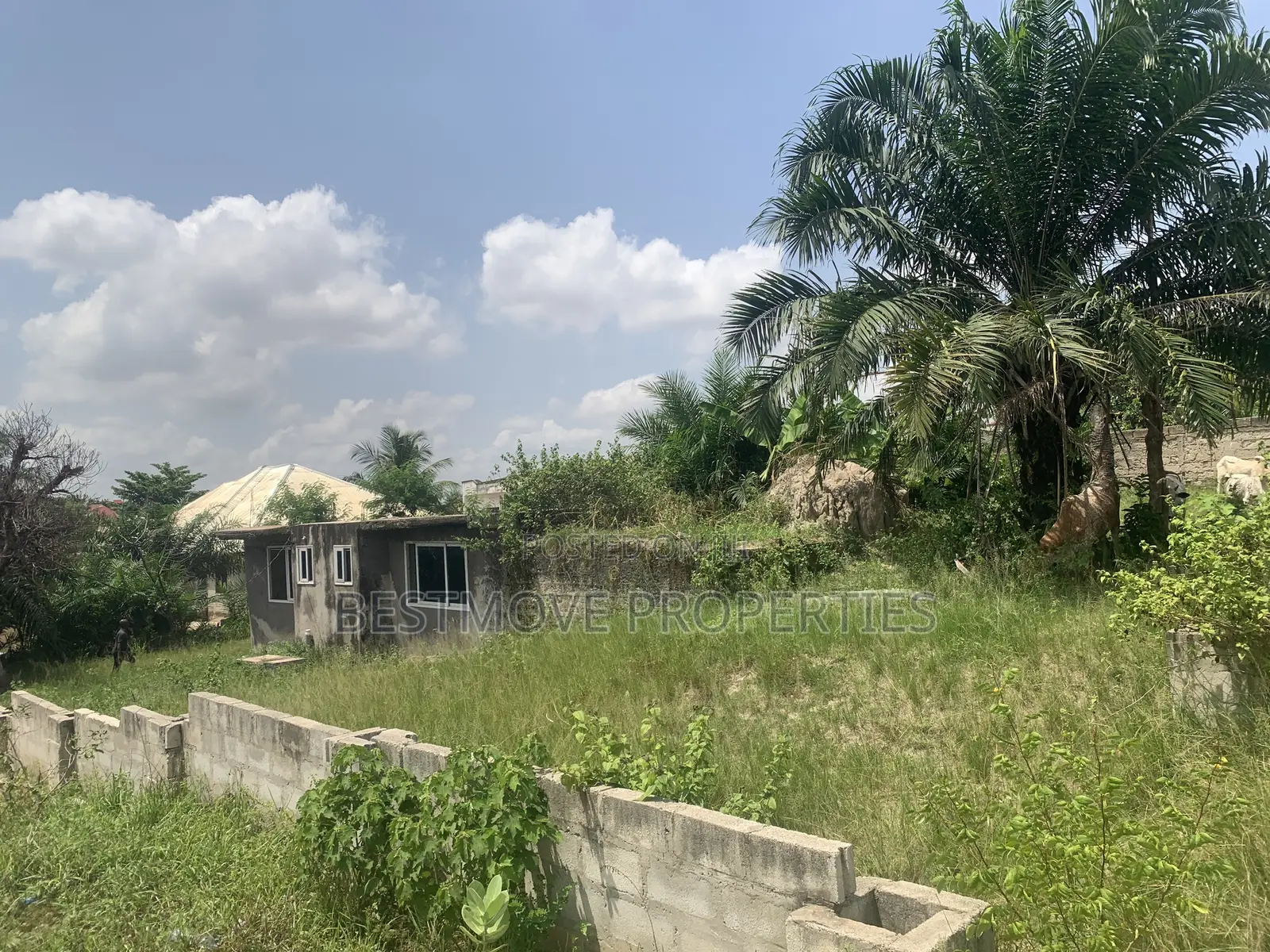 Landed Property for Sale at Sepe Dote in Kwabre