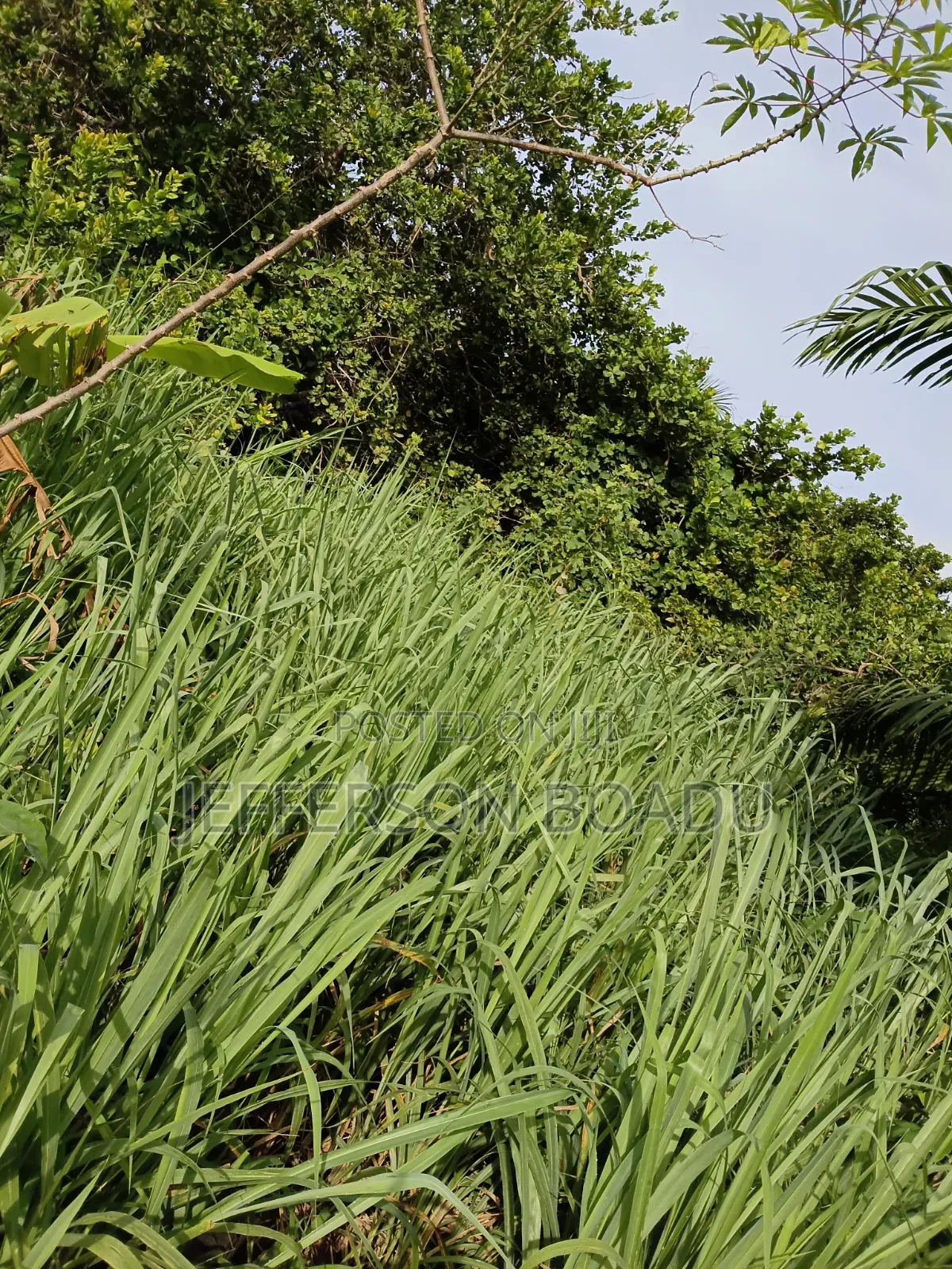 Land for Sale at Berekum- Kato in Berekum Municipal