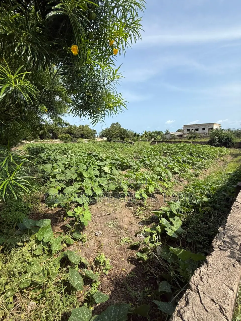 Executive 2 Plots of Land for Sale at Kokrobite in Ga South Municipal