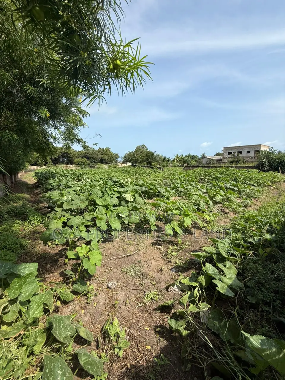 Executive 2 Plots of Land for Sale at Kokrobite in Ga South Municipal