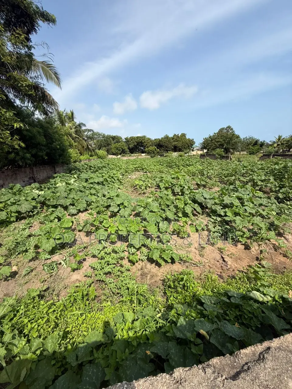 Executive 2 Plots of Land for Sale at Kokrobite in Ga South Municipal