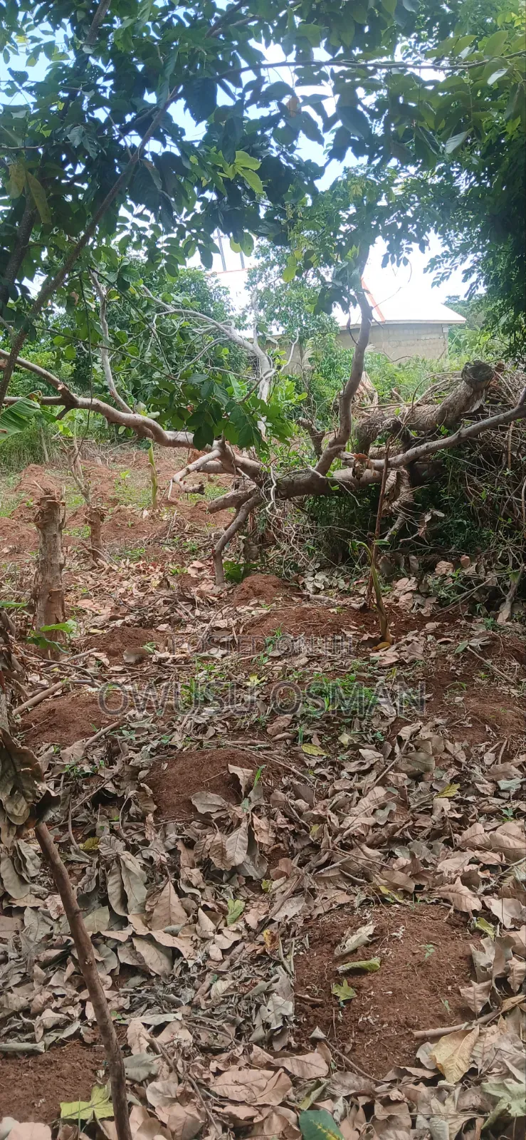 15 Plots on the Techiman to Kumasi Road Next to a Cement Factory in Techiman South