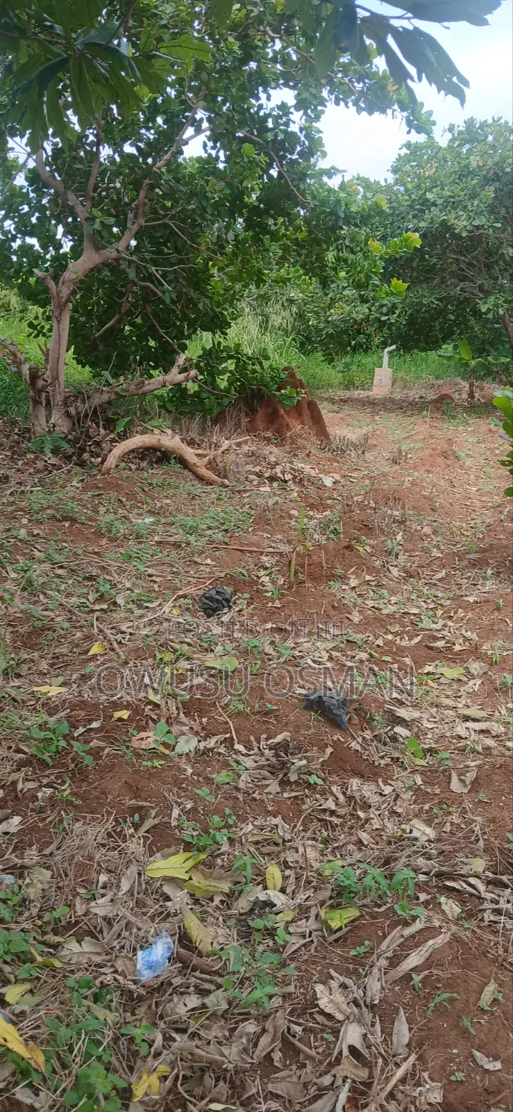 15 Plots on the Techiman to Kumasi Road Next to a Cement Factory in Techiman South