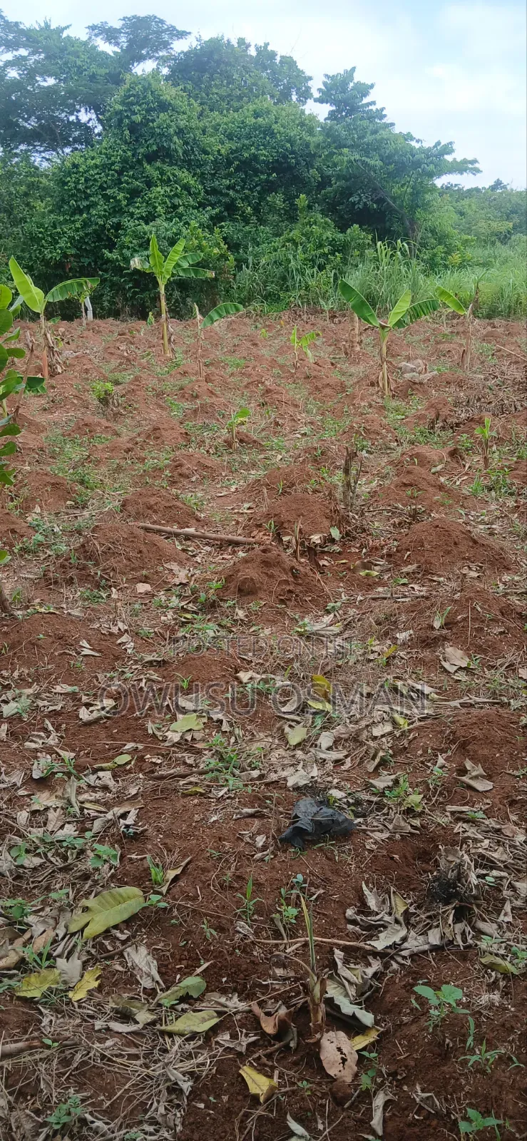 15 Plots on the Techiman to Kumasi Road Next to a Cement Factory in Techiman South