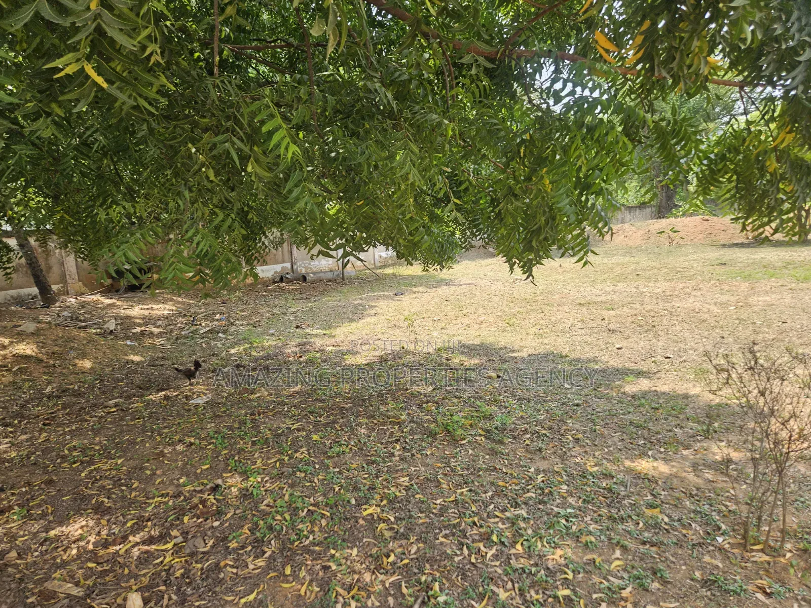 Three Plots With a Warehouse on It for Sell at Tema Community, 9. in Sakumono