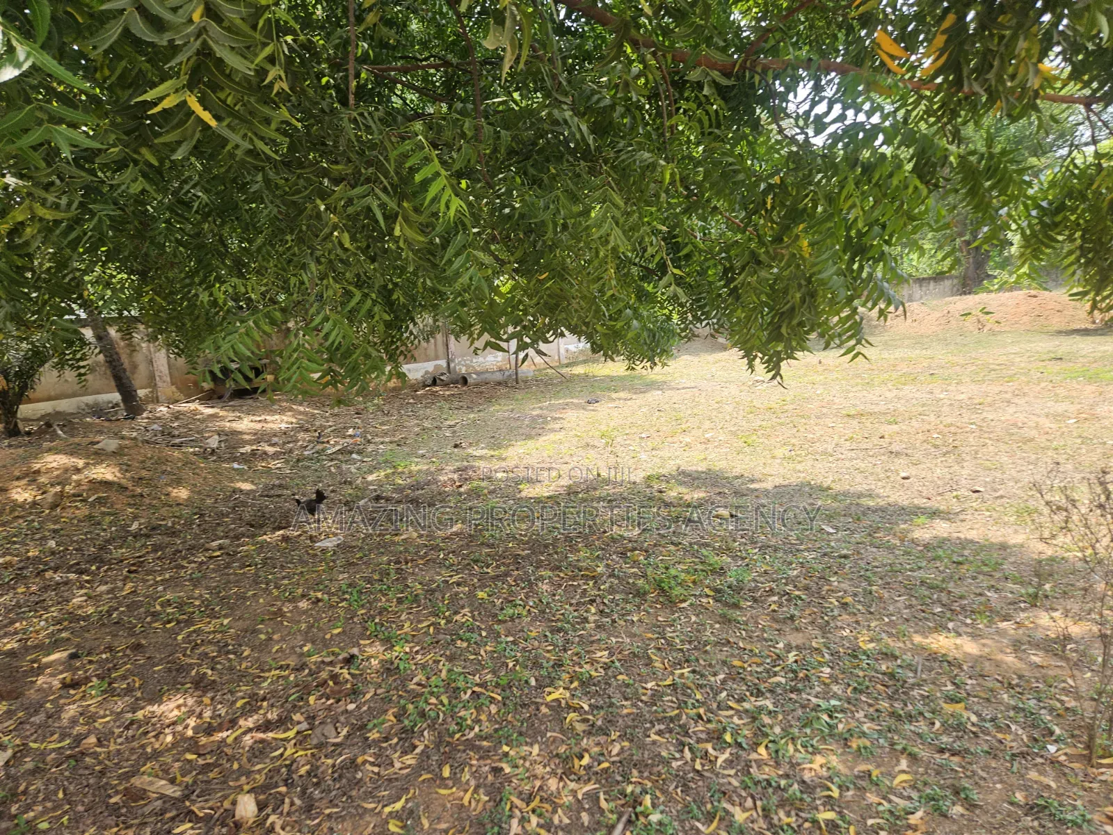 Three Plots With a Warehouse on It for Sell at Tema Community, 9. in Sakumono