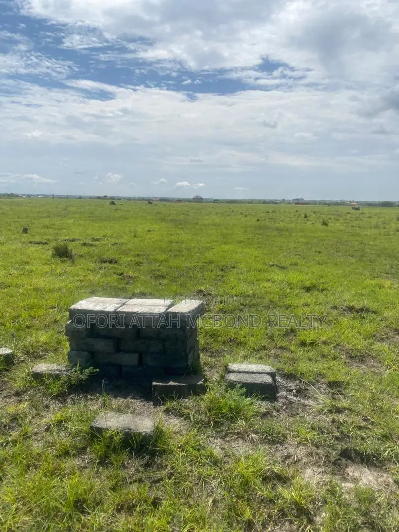 Get a Well-Demarcated Plot in (Prampram Airport City) Genuine Lands !! in Ningo-Prampram