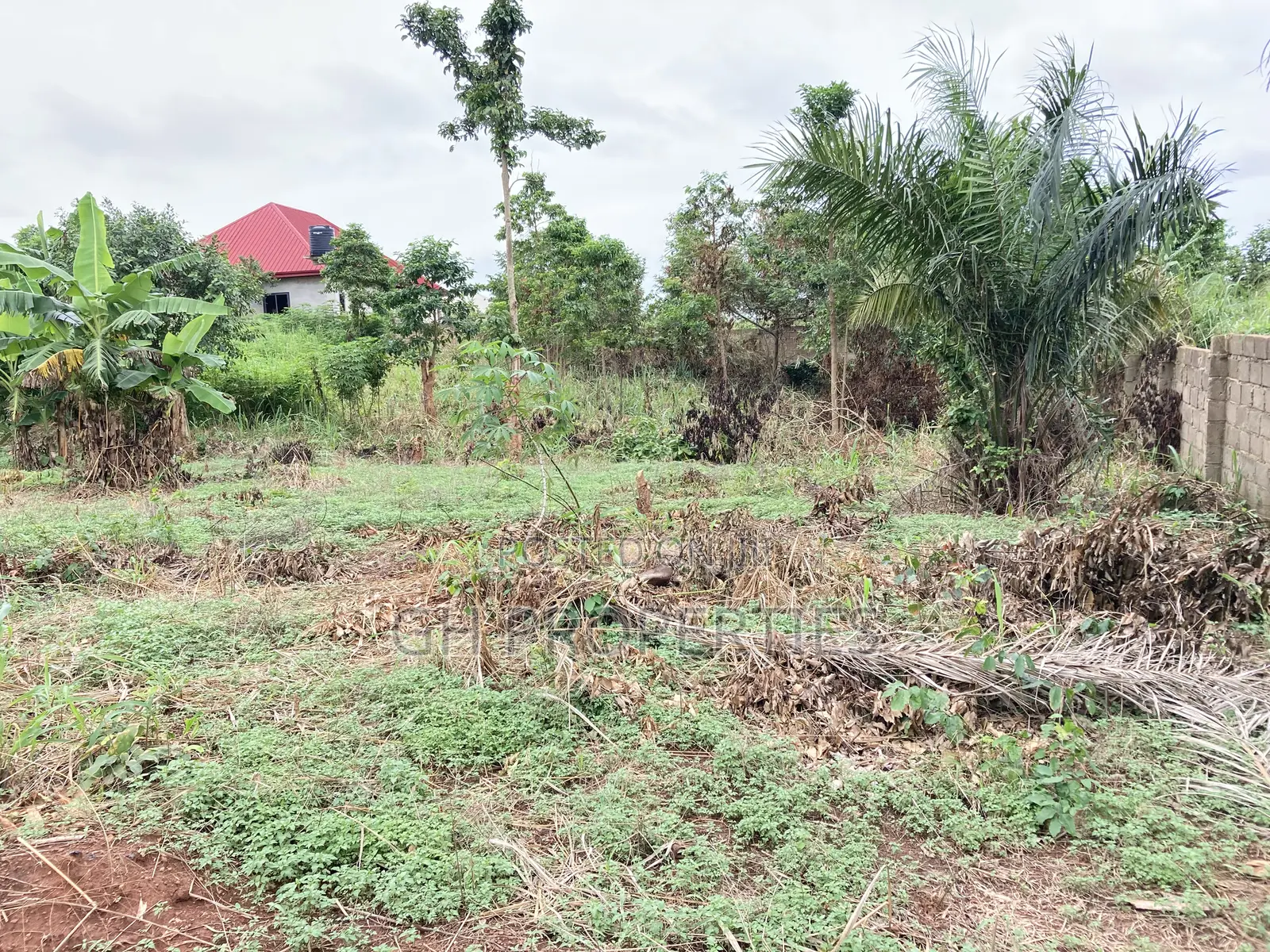 One and Half Plot for Sale at Sokoban,Ampaame Hills in Kumasi Metropolitan