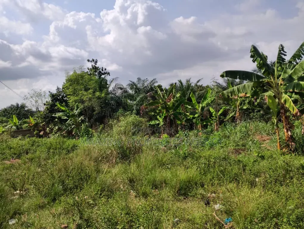 1000 Acres of Land at Dodowa Fiakonya Per Acre Is 800,000ghc in Dodowa
