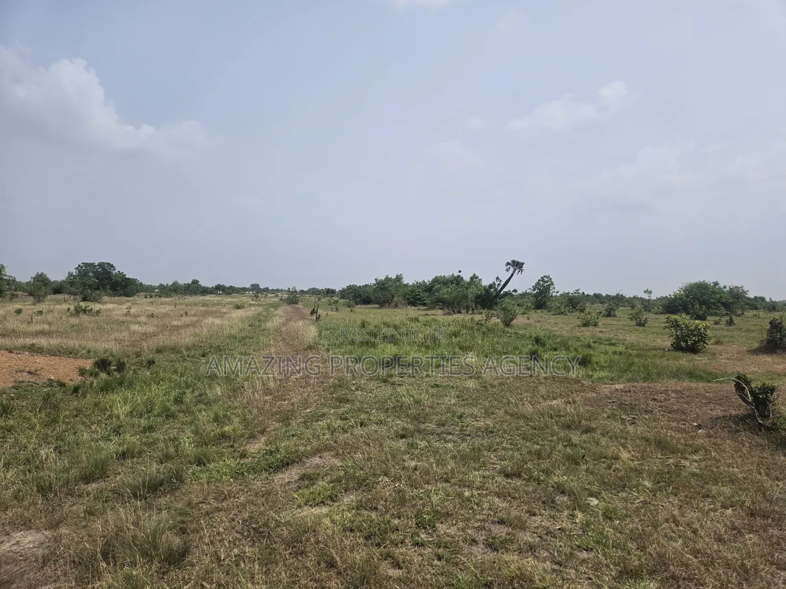 1000 Acres of Land at Dodowa Fiakonya Per Acre Is 800,000ghc in Dodowa