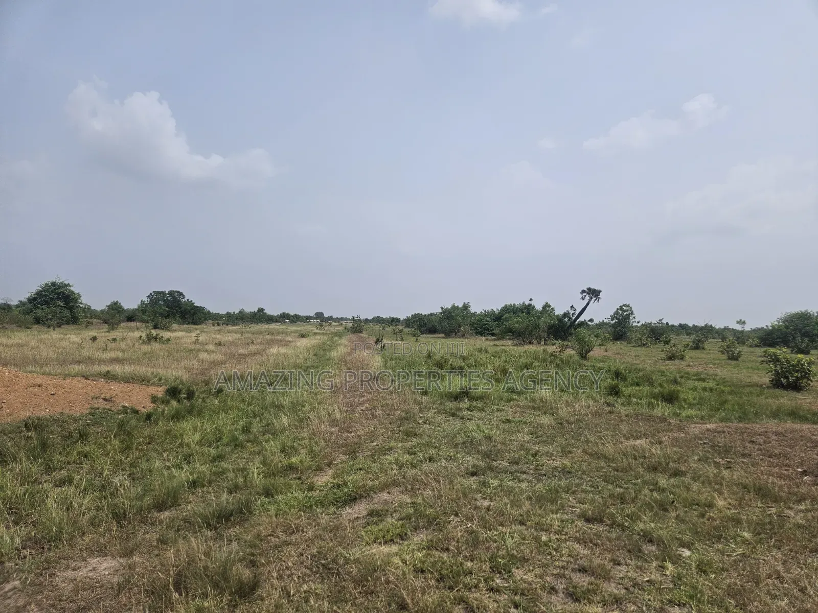 1000 Acres of Land at Dodowa Fiakonya Per Acre Is 800,000ghc in Dodowa