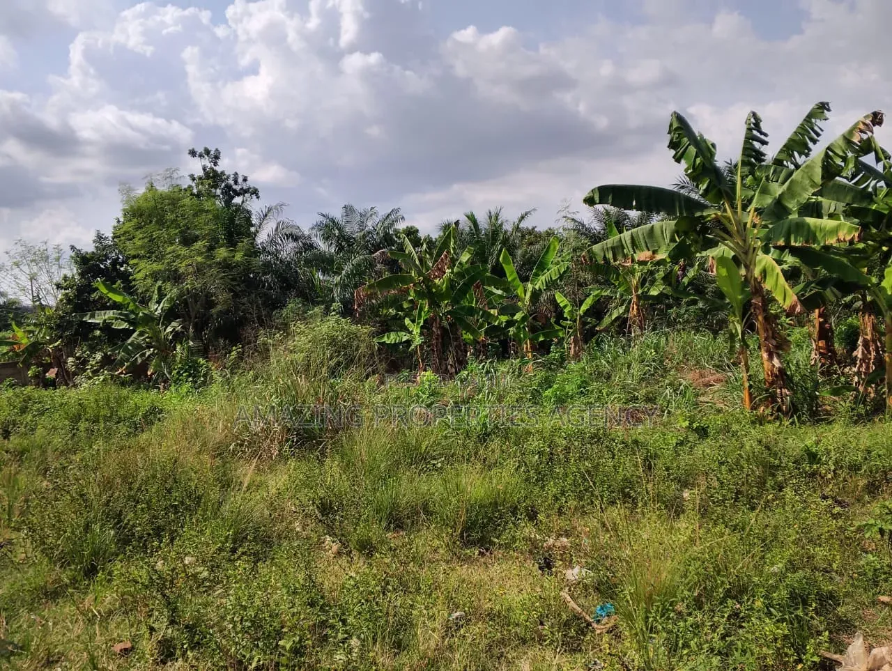 8plot of Land for Sale at West Trassaco in Otano