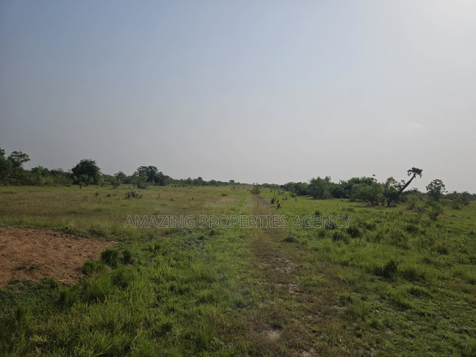 For Sale 300 Acres of Land Main Road Side Land for Sale at Dawa in Accra Metropolitan