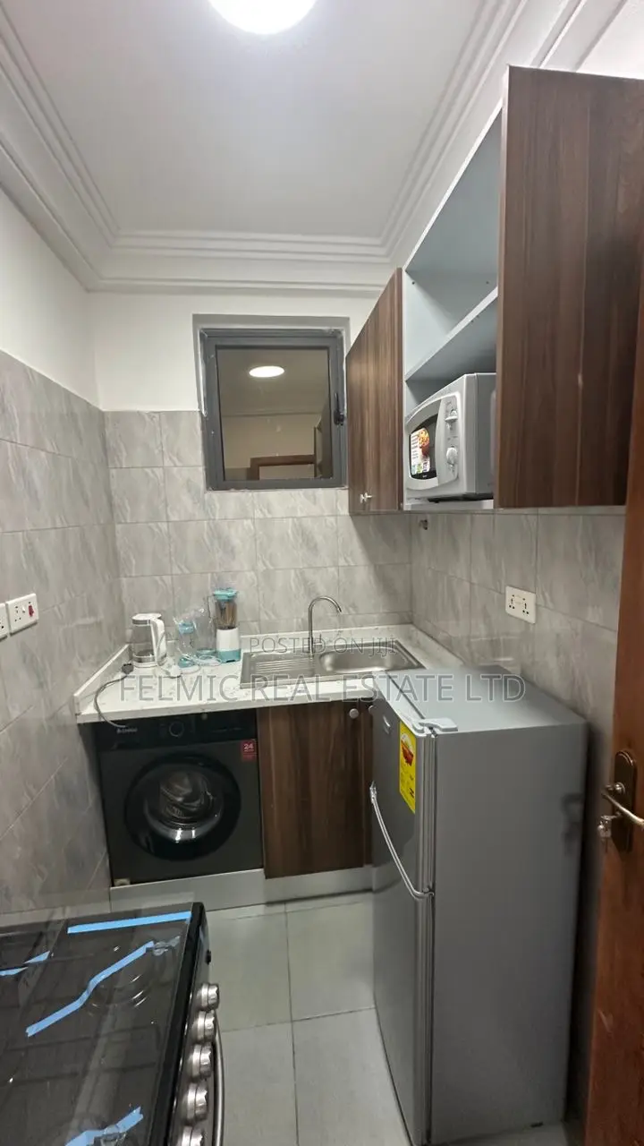 Furnished 1bdrm Apartment in Felmic Real Estate for rent in Parakuo Estate