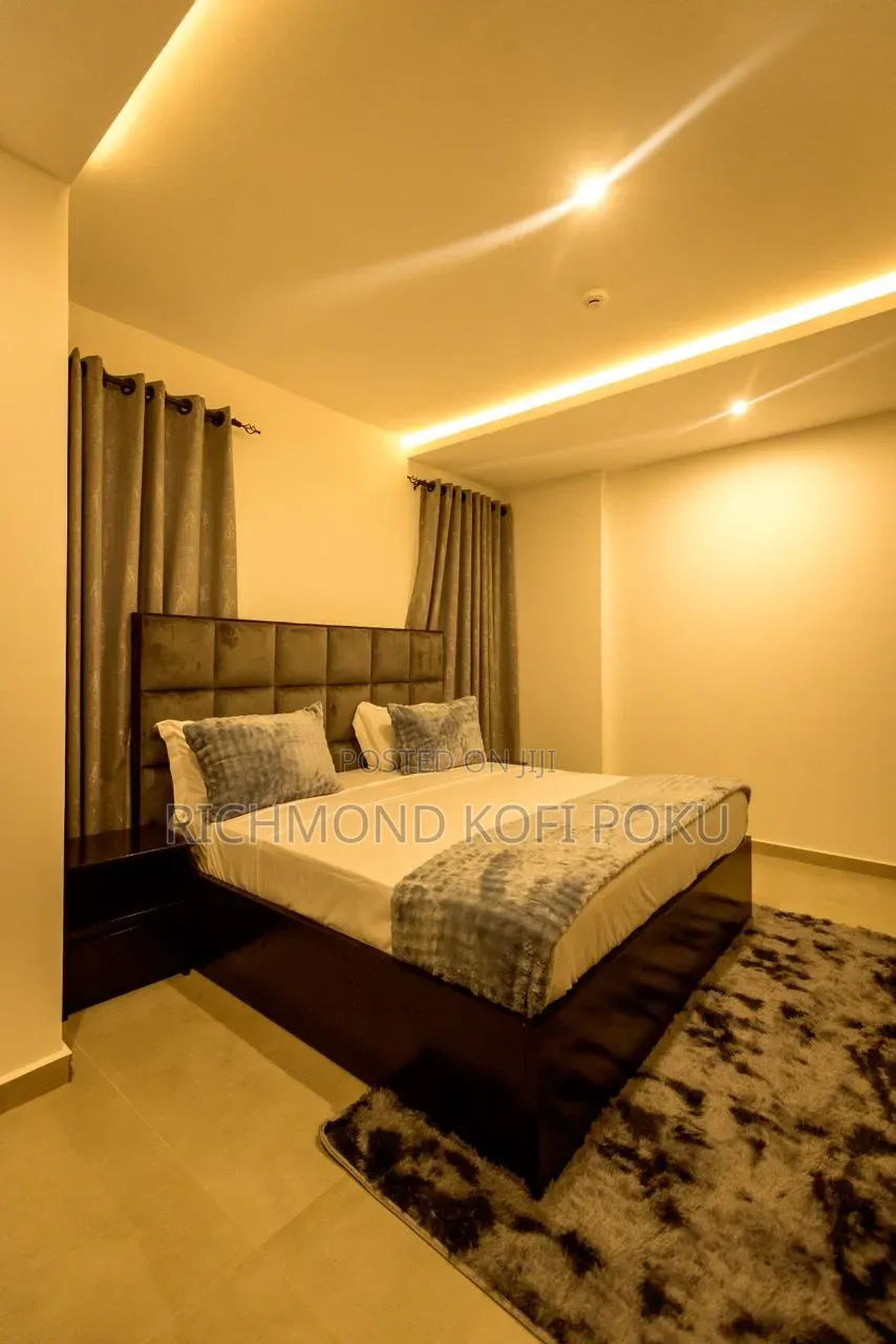Furnished 2bdrm Apartment in Kofis Realty, Tseaddo for rent in Tseaddo