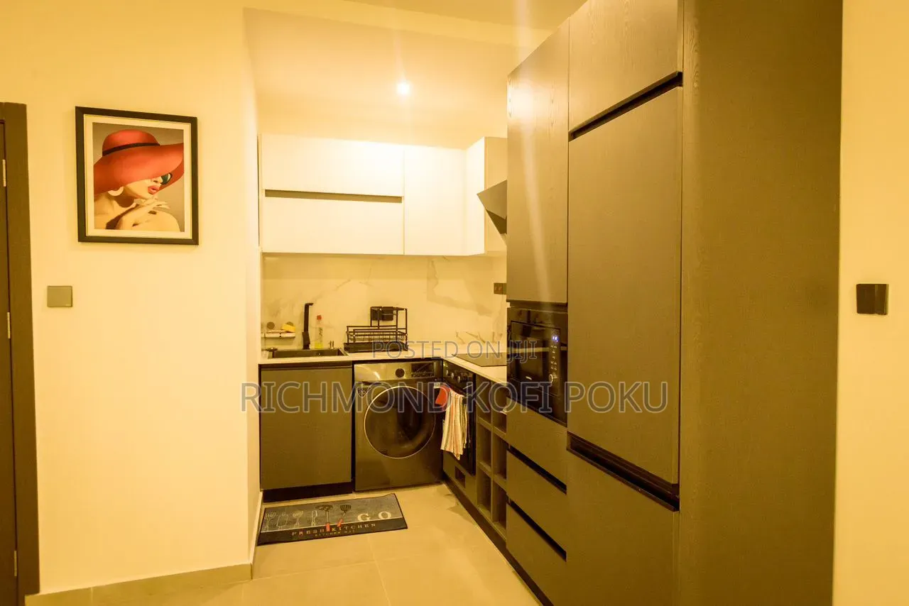 Furnished 2bdrm Apartment in Kofis Realty, Tseaddo for rent in Tseaddo