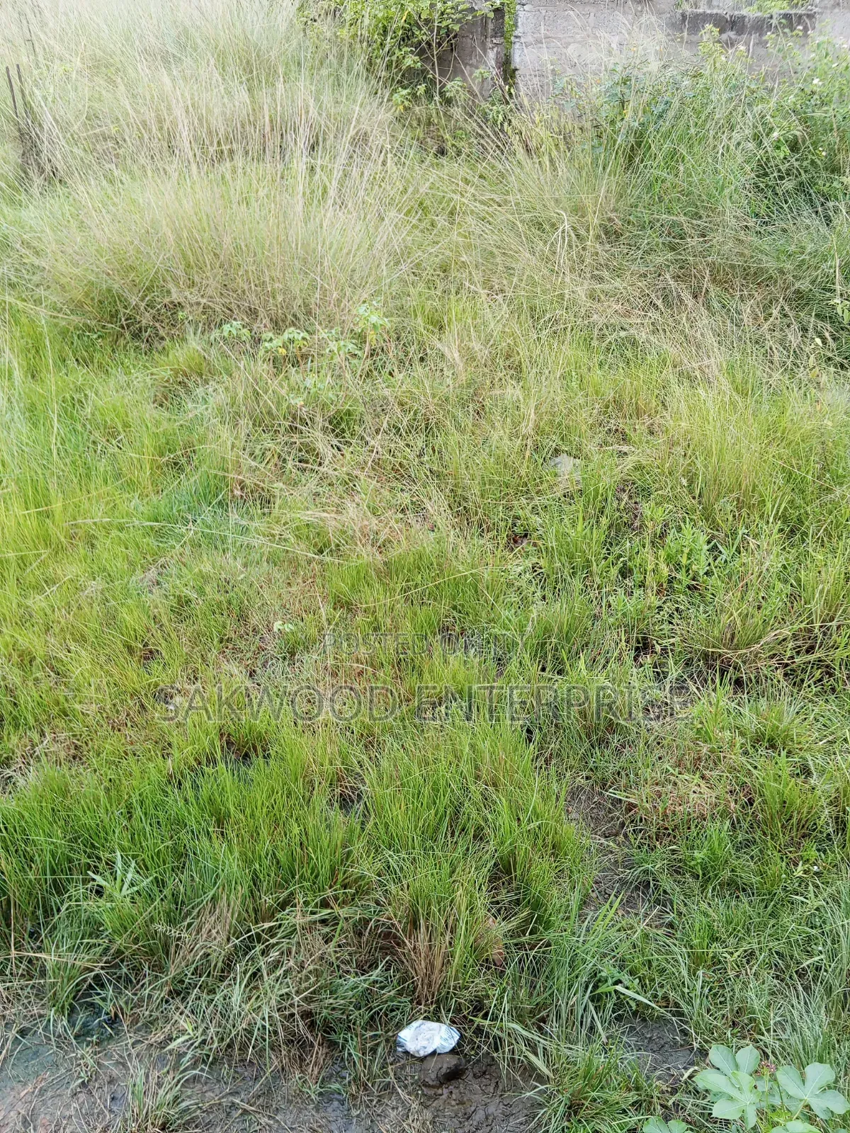 2 Plots of Land at Dodowa in Market