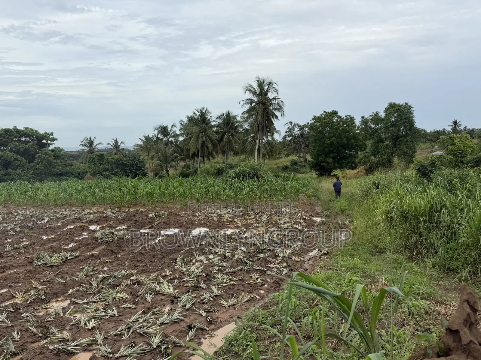 2 Plots at Hunese in Accra Metropolitan
