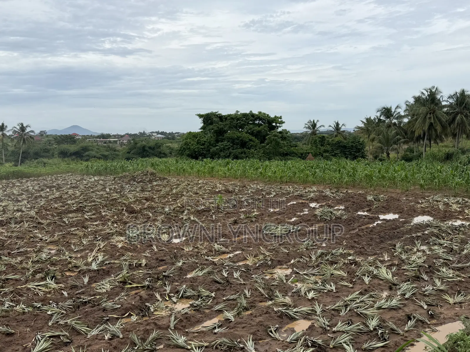 2 Plots at Hunese in Accra Metropolitan