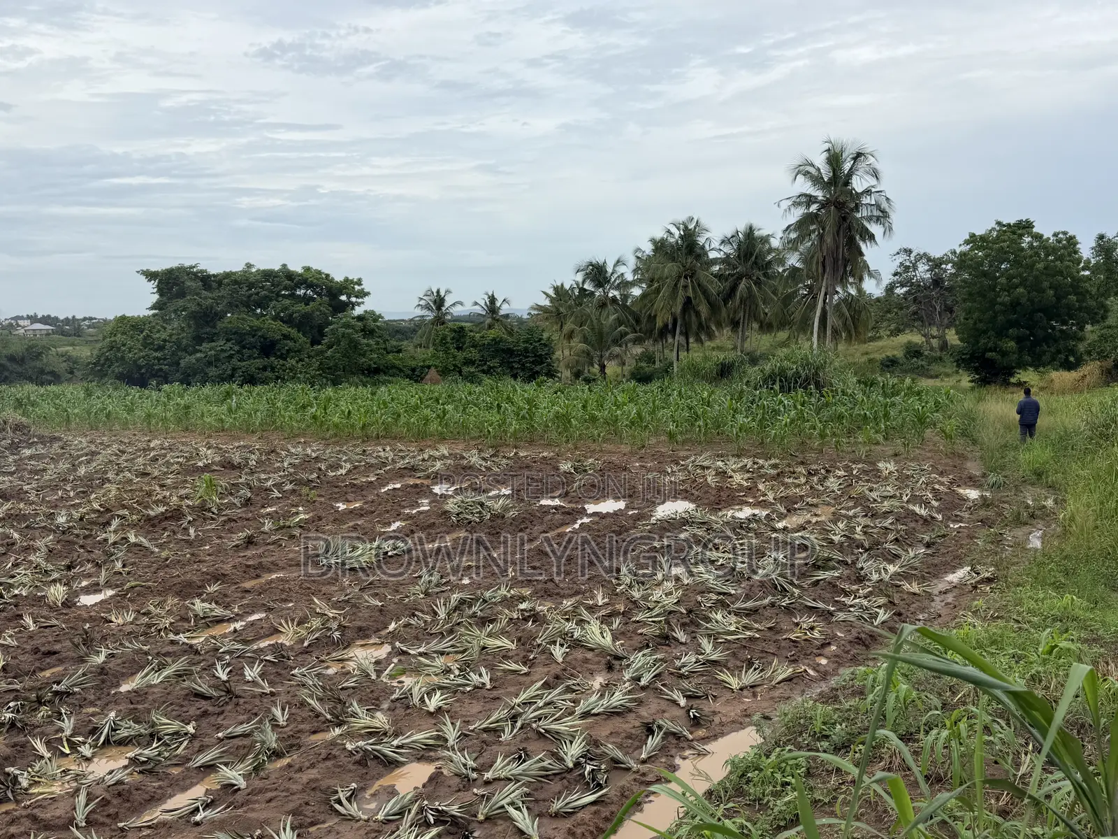 2 Plots at Hunese in Accra Metropolitan