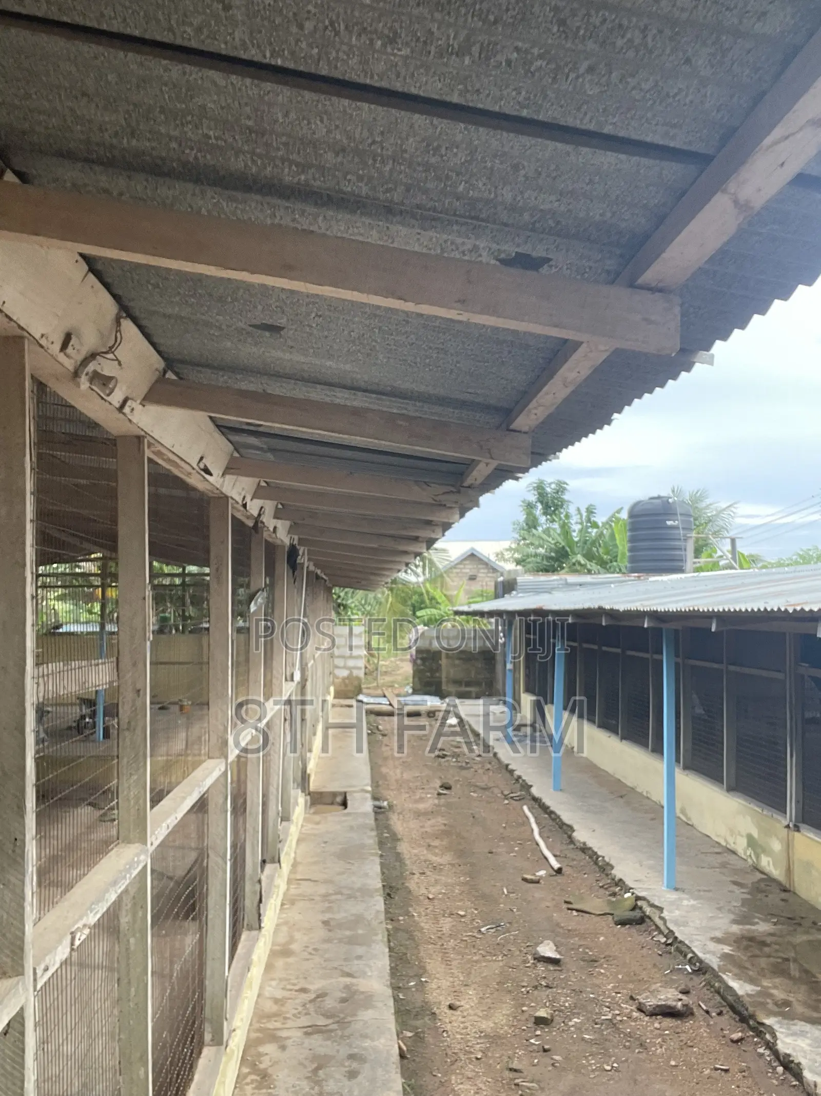 Poultry Farm Pens Available for Rent in Budumburam
