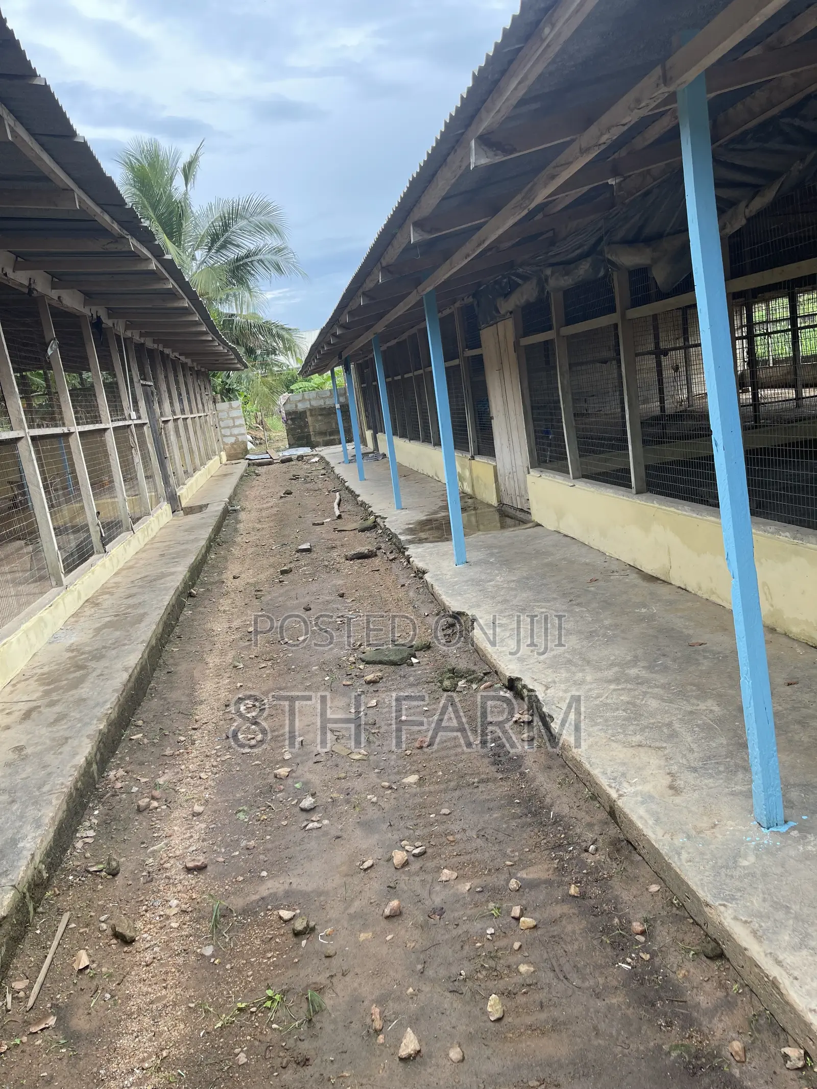 Poultry Farm Pens Available for Rent in Budumburam