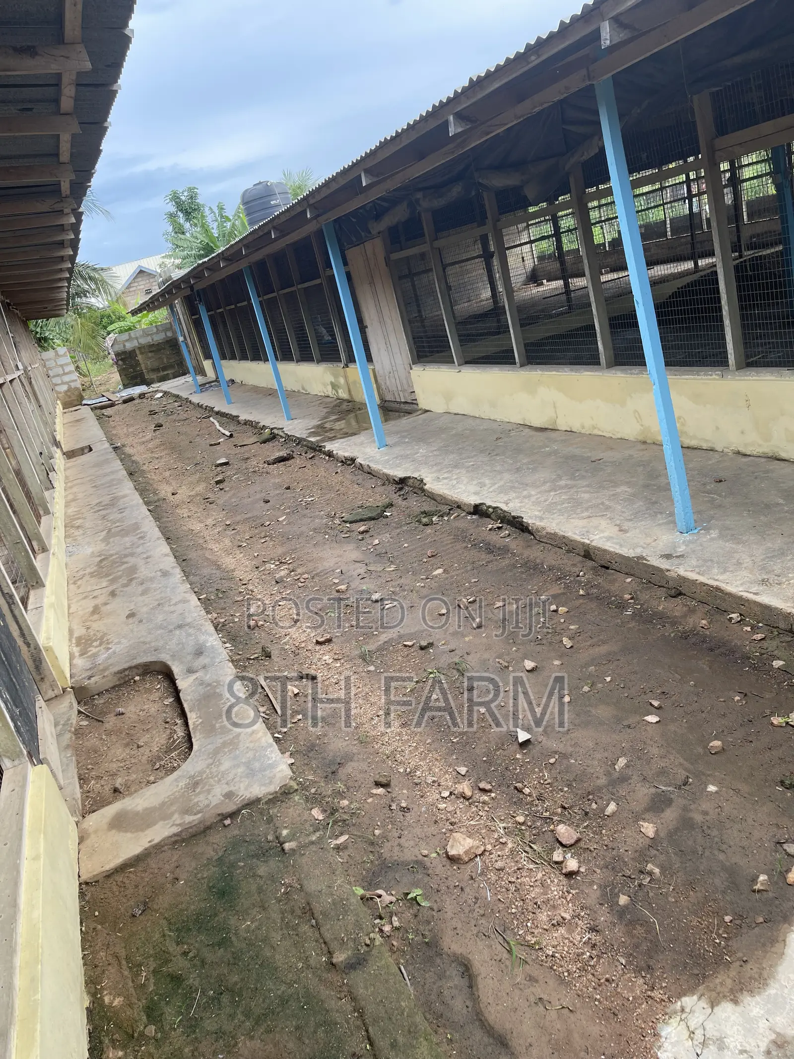 Poultry Farm Pens Available for Rent in Budumburam
