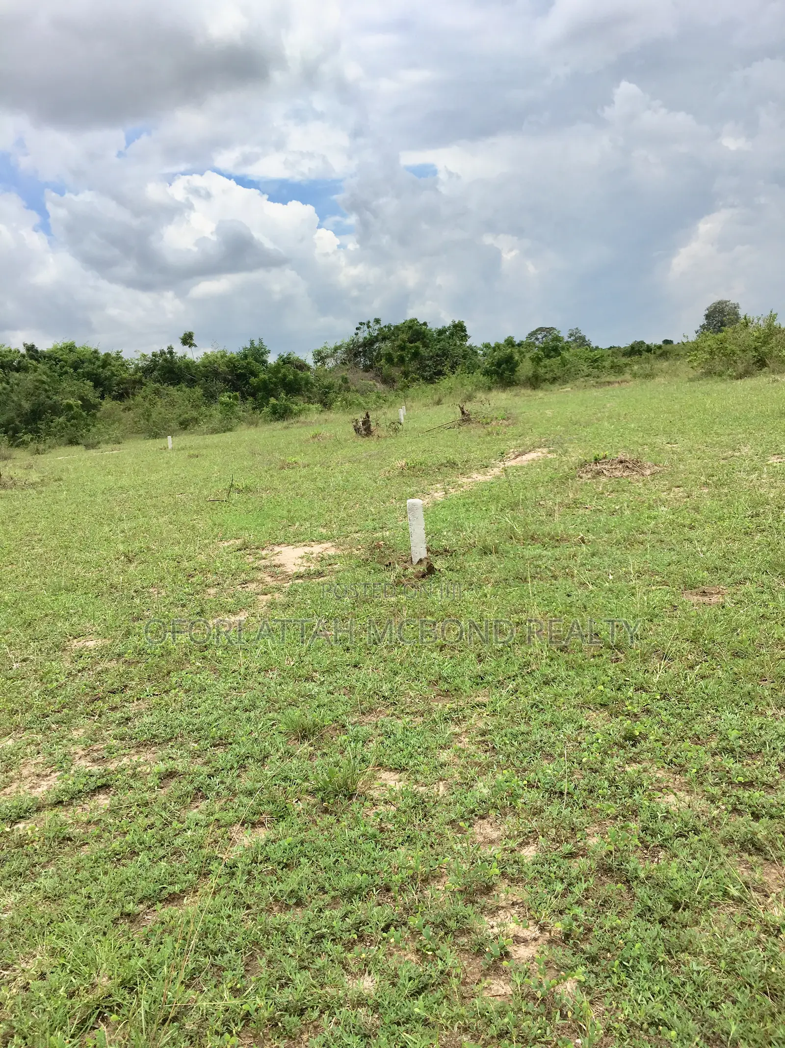 Genuine Lands for Sale - Afienya Land in a Residential Community .;  in Tema Metropolitan