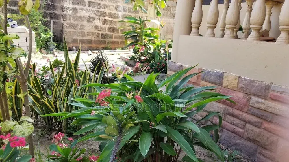 Furnished 1bdrm Apartment in Green Properties, Martime University Area in Martime University Area